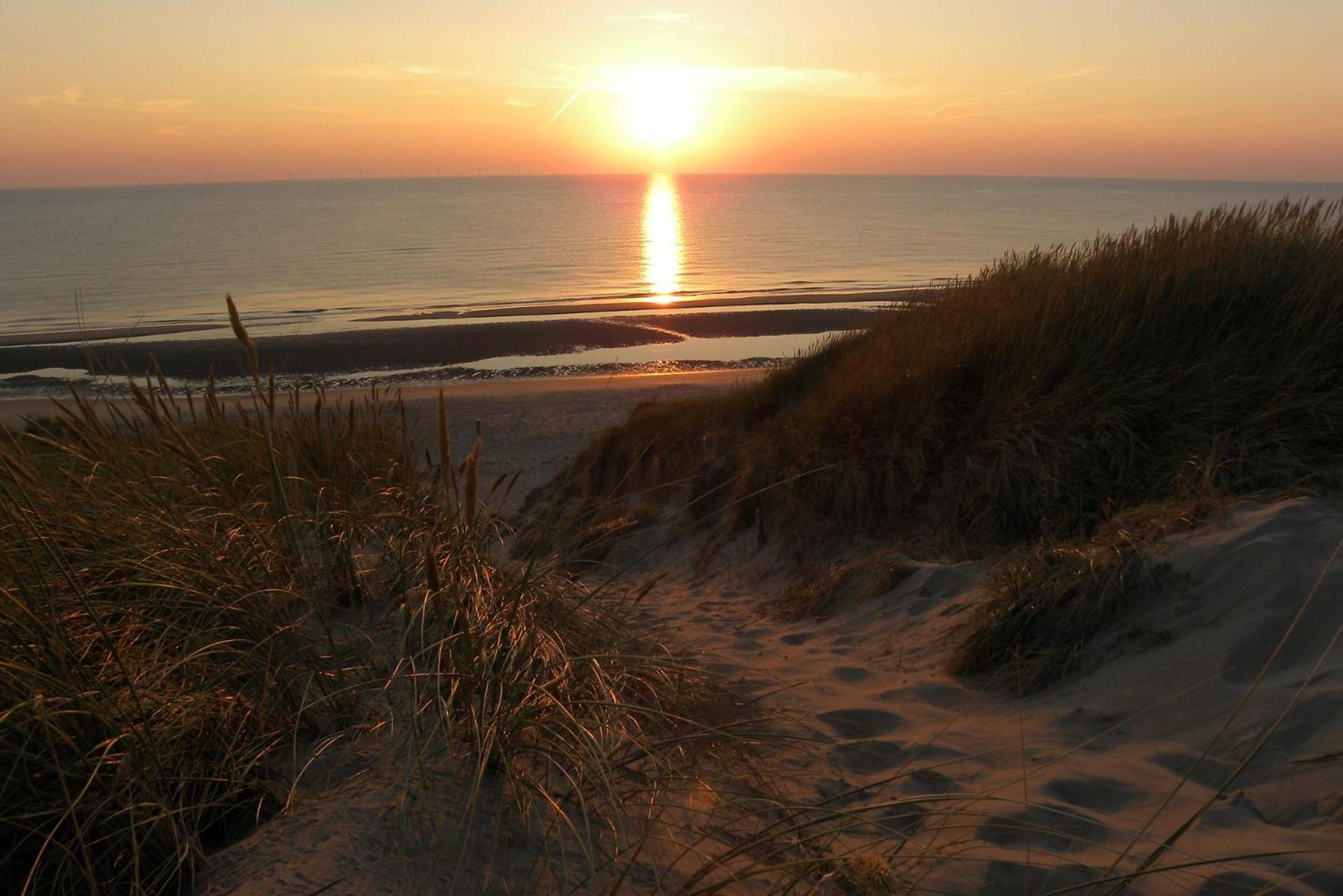 Apartamento Ammophila 1 Egmond aan Zee Exterior foto